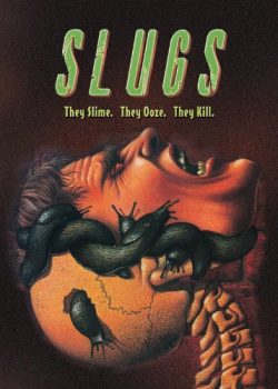 Slugs